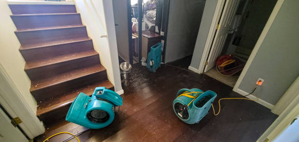 Best Water damage cleanup near me  in Gilbert, MN