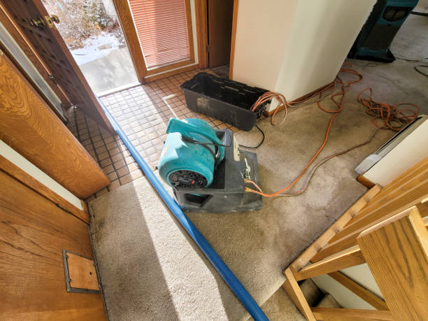 Best Mold removal after water damage  in Gilbert, MN