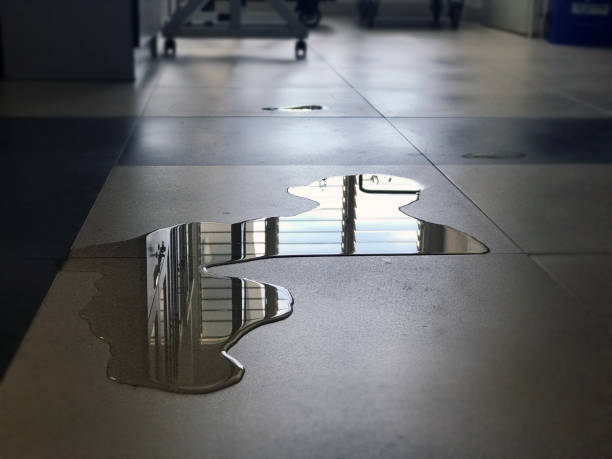 Best Water damage restoration near me  in Gilbert, MN