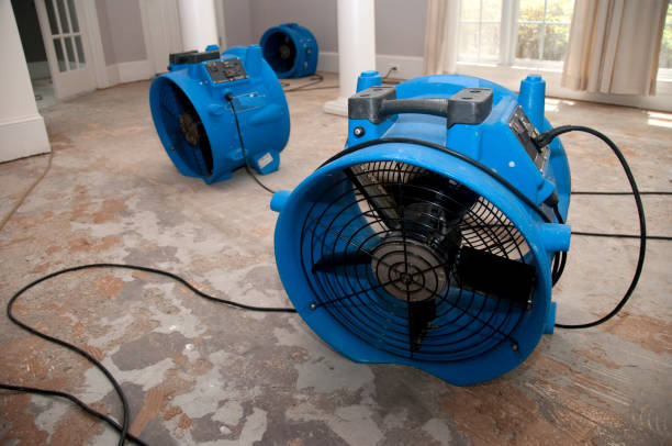Best Sewage cleanup and water damage restoration  in Gilbert, MN