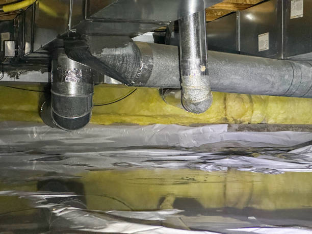 Best Flood restoration services  in Gilbert, MN
