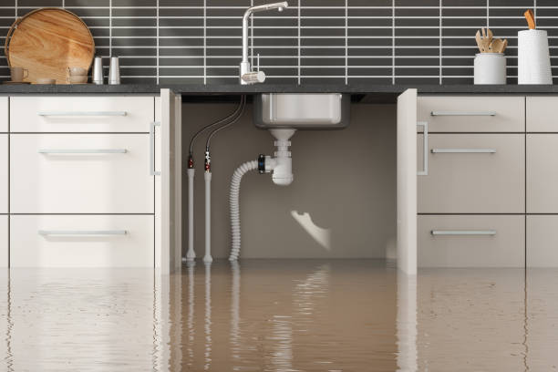 Best Residential water damage restoration  in Gilbert, MN