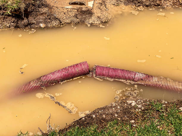 Best Water damage contractors near me  in Gilbert, MN