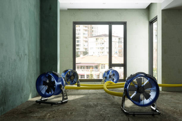 Local water damage restoration in Gilbert, MN